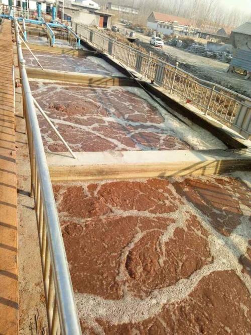 屠宰場廢水水質和特點