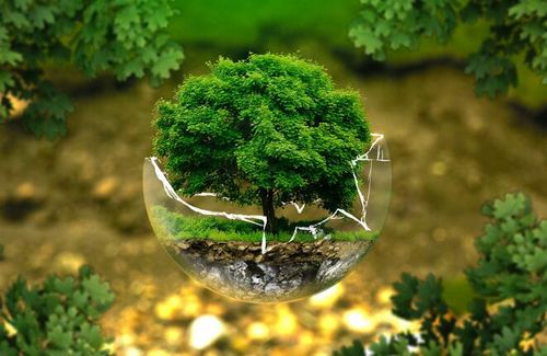 環境采樣是什么意思 環境采樣是什么意思