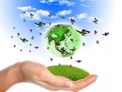 企業環保靜態管理檔案