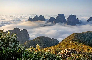 金秀環境檢測-金秀第三方檢測機構 金秀環境檢測-金秀第三方檢測機構